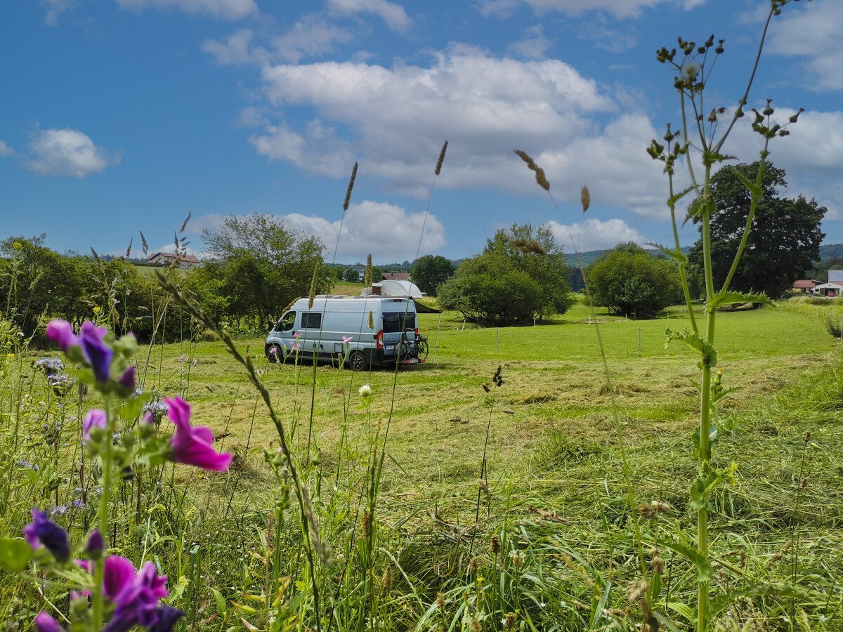 Camping im Grünen!