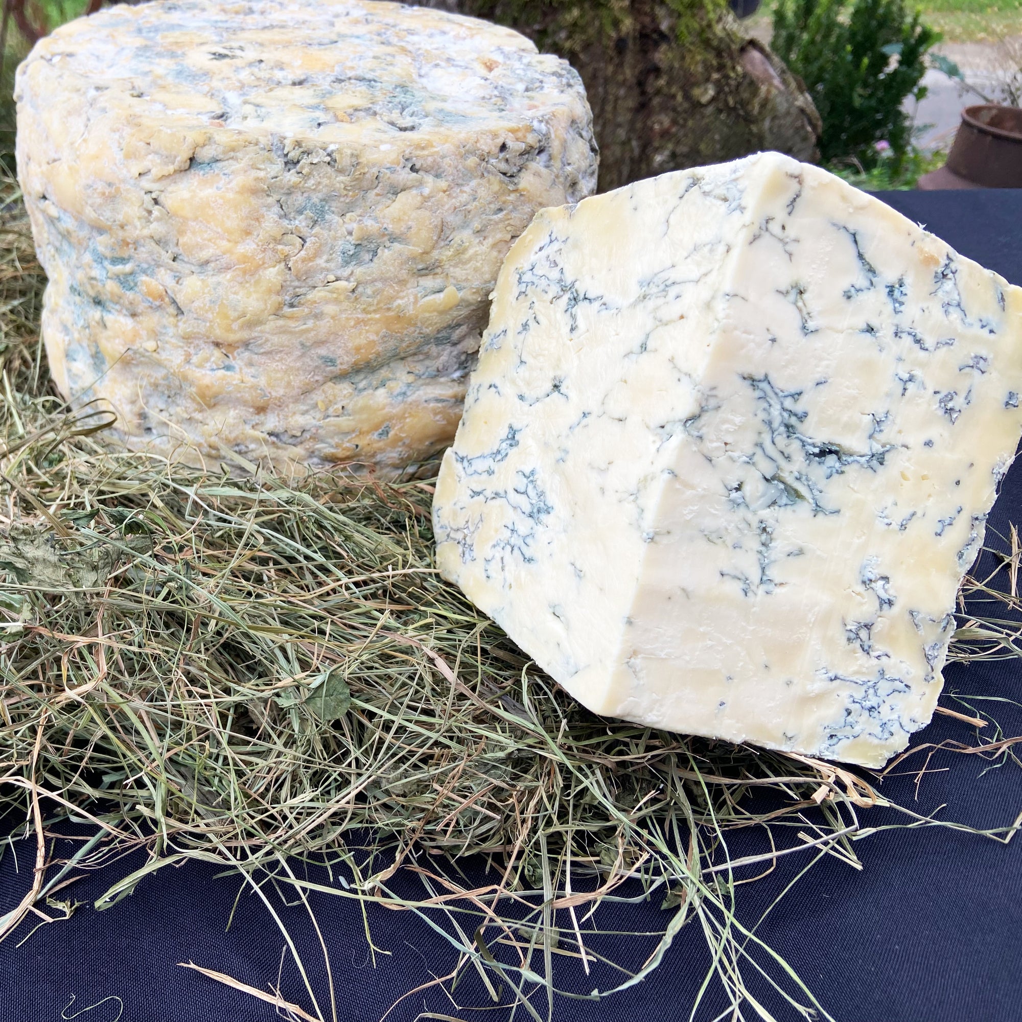 Berls-Bio-Blauberl