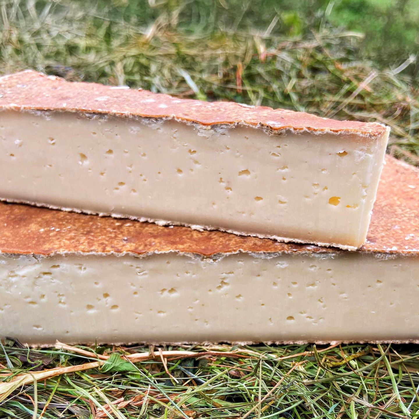 HALBFESTER BIO SCHNITTKAS-NATURWÜRZIG