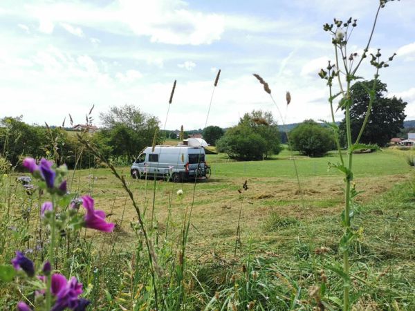 AlpakaCamping - Camping bei uns im Grünen - auf der Wiese